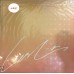 Leslie Cheung 張國榮 為妳鍾情 白膠 LP 舊版
