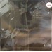 Leslie Cheung 張國榮 Legend Continues 黑膠 LP