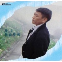 羅文 極品珍藏 藍膠 ARM LP