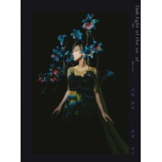 Vincy Chan 泳兒 Dark Light of the Soul CD