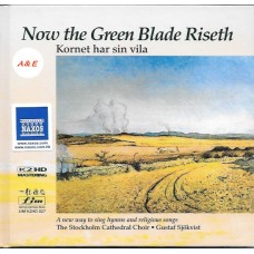 Now the Green Blade Riseth K2HD CD LIMK2HD027