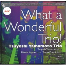 Tsuyoshi Yamamoto Trio What a Wonderful Trio DXD CD FIMDXD079