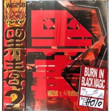 TIS 黑毒2 CD