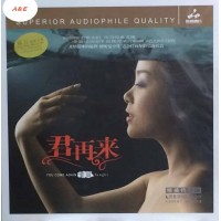 童麗 君再來 黑膠 LP