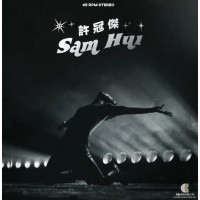 Sam Hui 許冠傑 45RPM 黑膠 LP