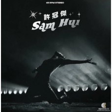 Sam Hui 許冠傑 45RPM 黑膠 LP