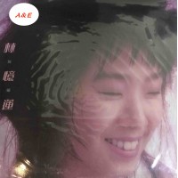 Sandy Lam 林憶蓮 放縱 黑膠 LP Vinyl