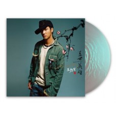 Leehom Wang 王力宏 蓋世英雄 珍珠綠彩膠 LP