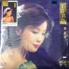 Teresa Teng 鄧麗君 千言萬語 黑膠 LP Vinyl