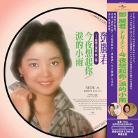 Teresa Teng 鄧麗君 島國之情歌第二集 今夜想起你 淚的小雨 圖案膠 LP Vinyl 8888852