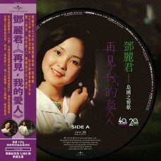 Teresa Teng 鄧麗君 島國之情歌第一集 再見我的愛人 圖案膠 LP Vinyl 8897925