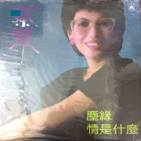 Tsai Chin 蔡琴 塵緣 情是什麼 LP Vinyl 