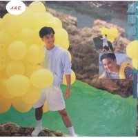 Hacken Lee 李克勤 夏日之神話 黑膠 LP 舊版