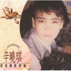 辛曉琪 在你背影守候 黑膠 LP