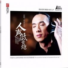 趙鵬 人聲低音炮 黑膠 ADMS LP 趙鵬 人聲低音炮 黑膠 ADMS LP