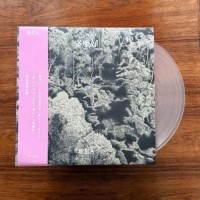 粉紅A 多麼好 透明膠 LP 粉紅A 多麼好 透明膠 LP