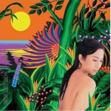 許景淳 天頂的月娘啊 黑膠 LP