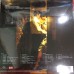 Wong Kar Wai In the Mood for Love Vinyl LP NEW 王家衛 花樣年華 黑膠